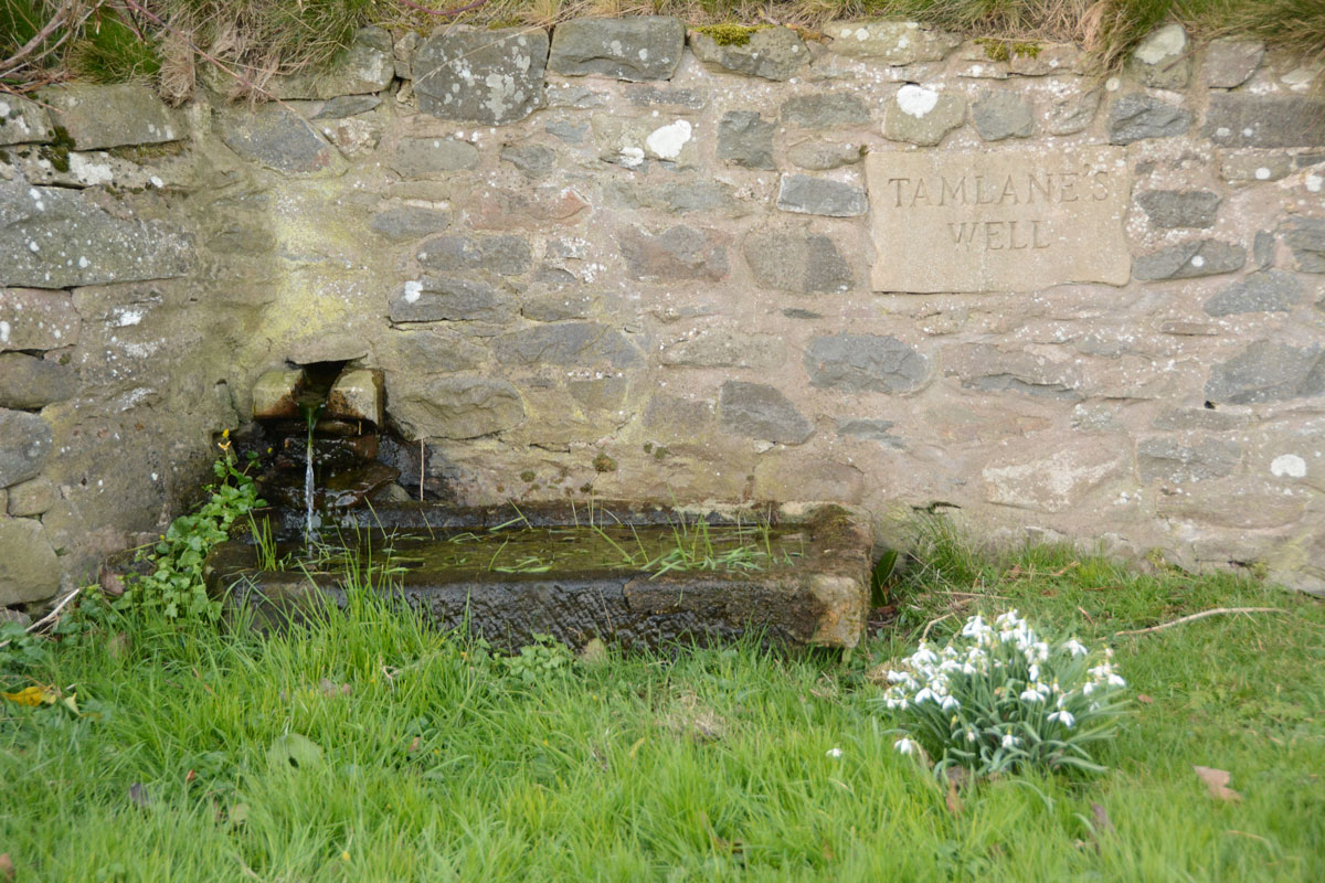 Tamlane's Well (Carterhaugh)