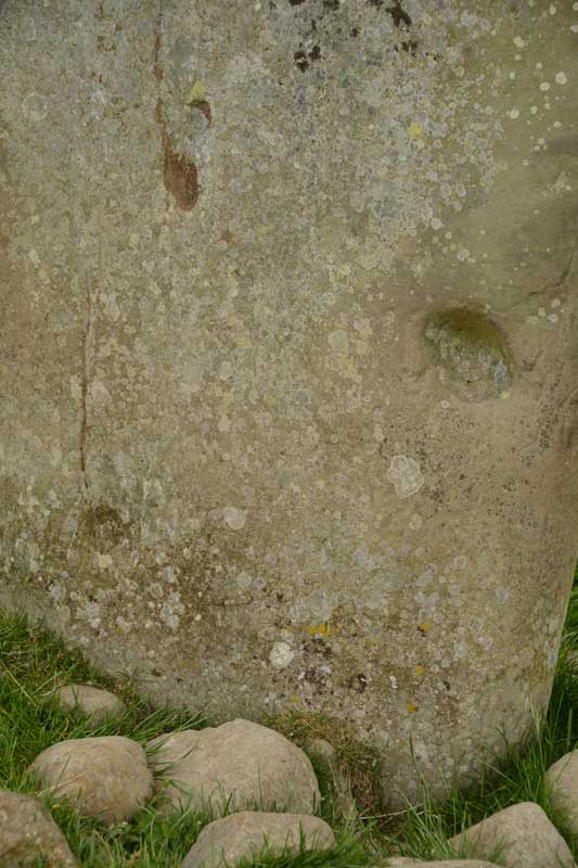 To my eyes, there is a cup mark at the centre middle on the right hand side of the stone, another one third of the way along from the left  hand side at the bottom of the stone, and possibly a third (now covered with lichen) one third down from the top and middle of the photo.  I'd be curious to find out what others think.