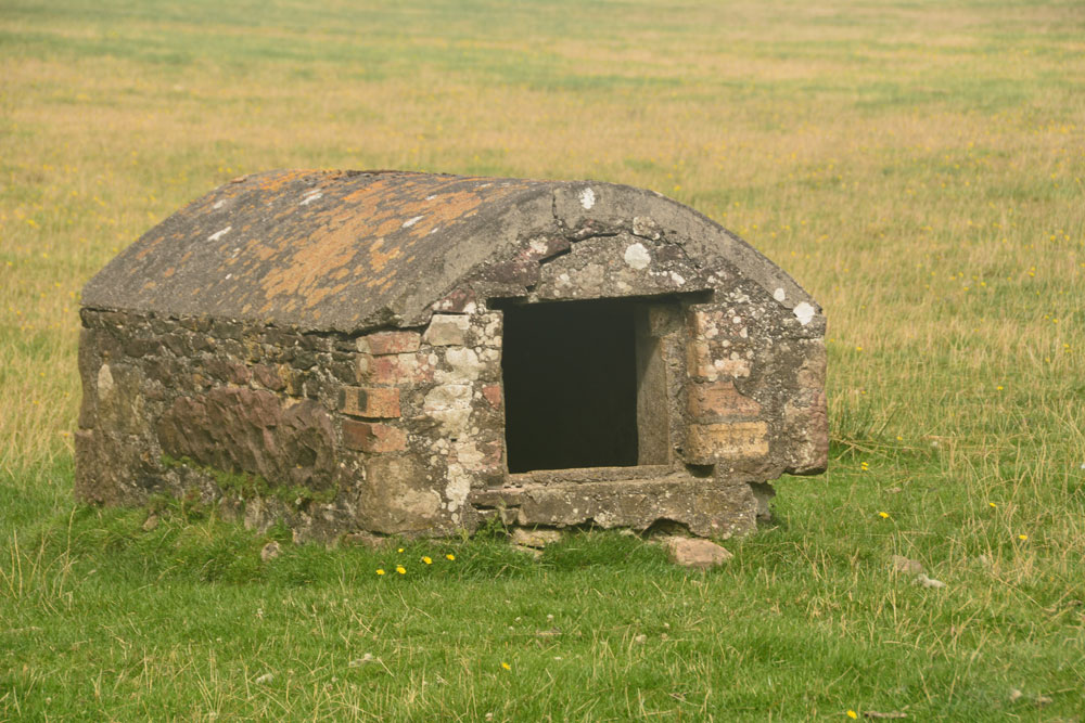 Hawthornside Farm (Bonchester Bridge)