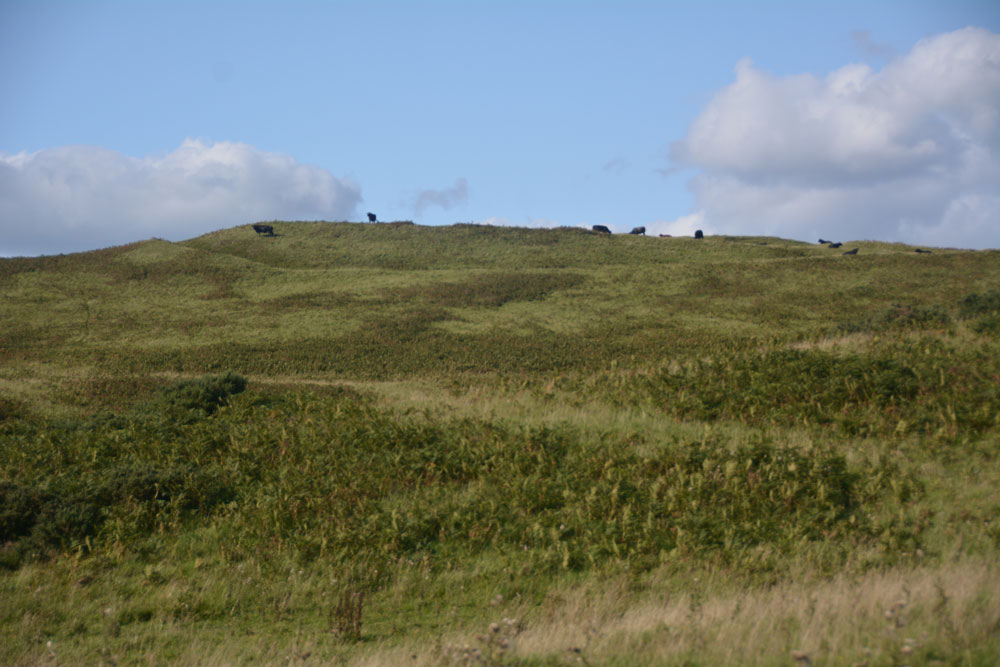 Whitcastle Hill