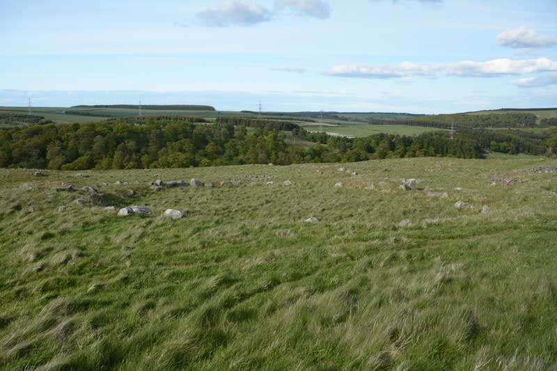 A larger round house in the middle of the fort can be seen in the middle of the photograph (the lower courses remain).