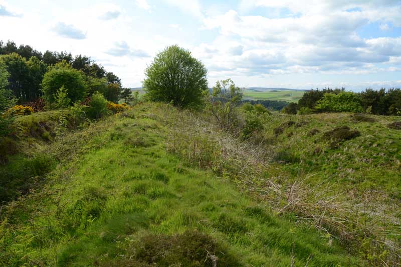 Preston Cleugh Fort