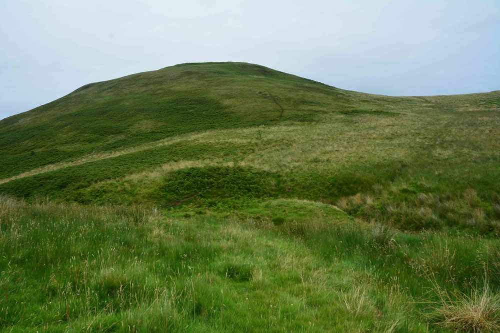 Shielknowe Burn Enclosure