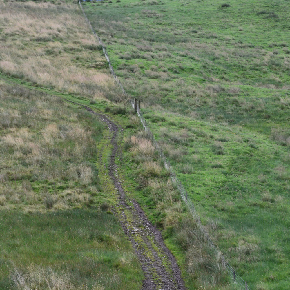 Shielknowe Burn Scooped Settlement