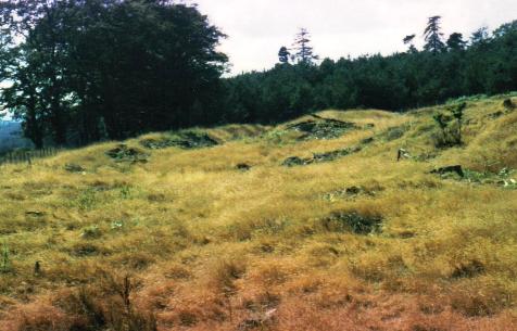 Drakemire hillforts