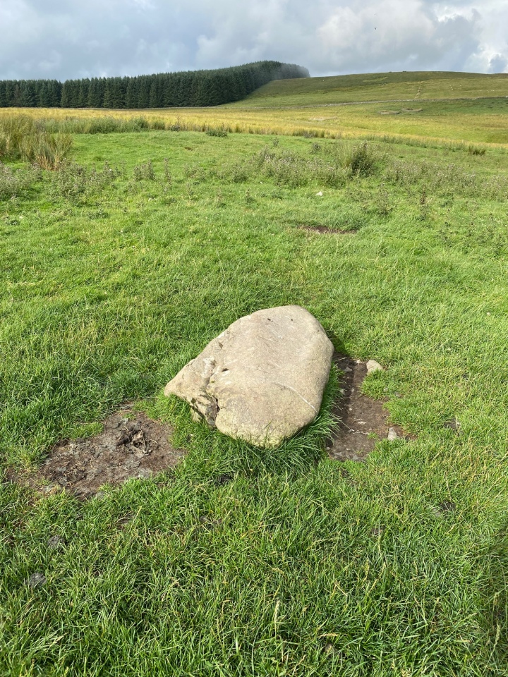 Image taken 6/8/21 facing north towards the forest of the recumbent stone. 