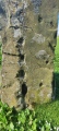 Cambridge Standing Stone - PID:273783