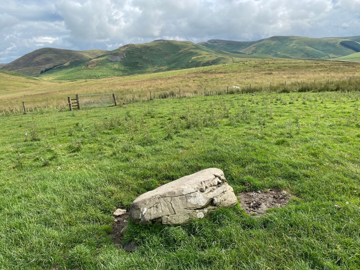 Image taken 6/8/21 in an easterly direction of the standing stone.