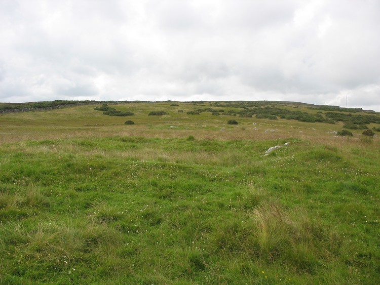 Forse House Hut Circles