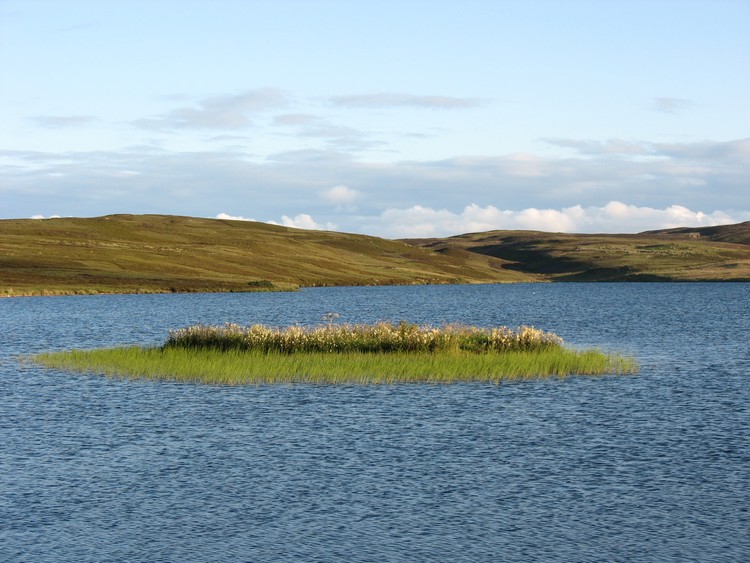 Loch of Yarrows Crannog