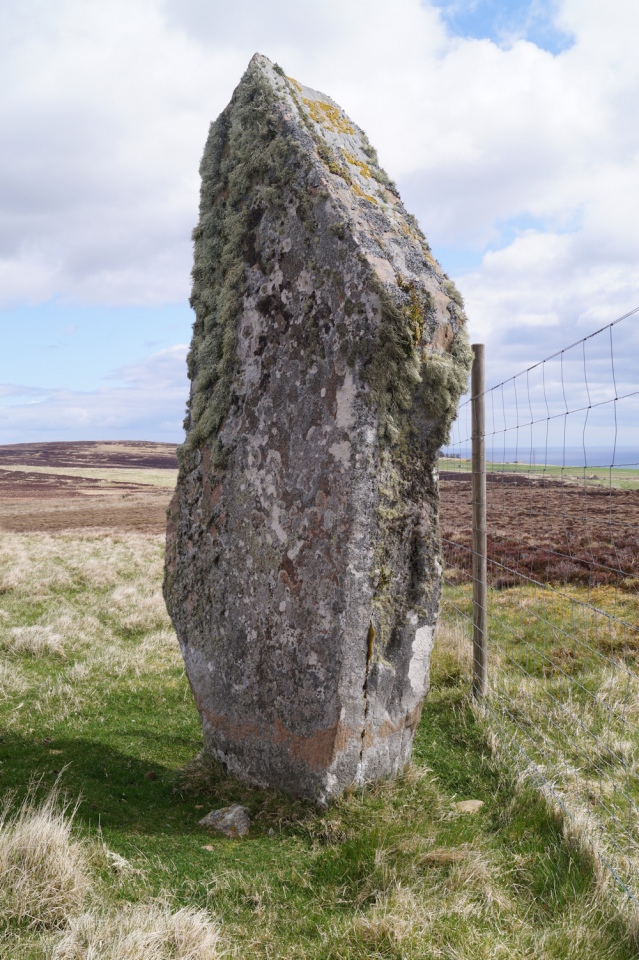 Upper Borgue from the NE. 8th May 22. We disturbed 2 Canada Geese who were nesting nearby, unfurtunately.