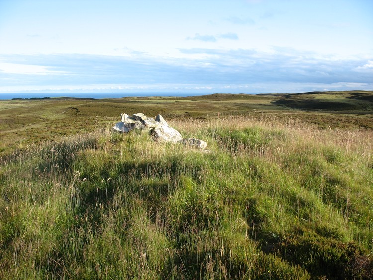 Whiteleen Cairn