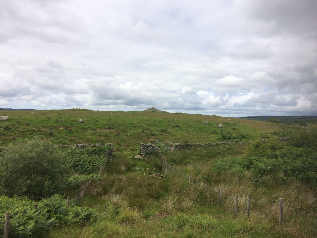 Drumwhirn Cairn viewed from adjacent field.