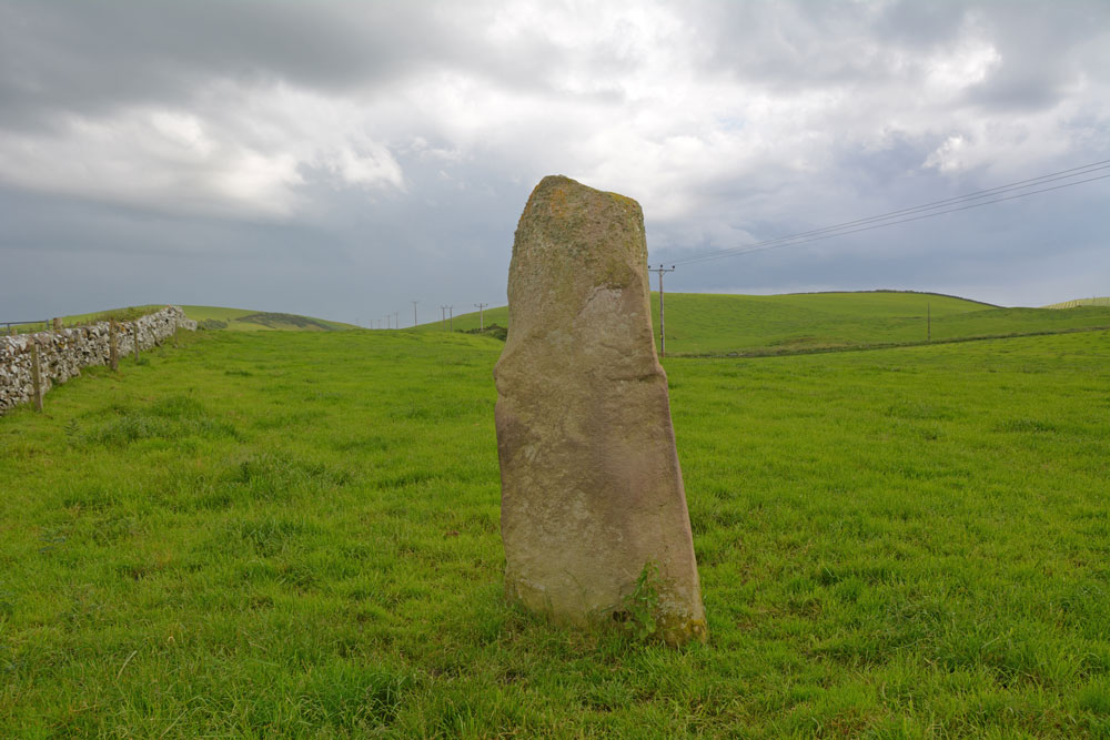 The standing stone from its northern side, looking down to the minor road which runs west towards Kirkmadrine Old Church. 