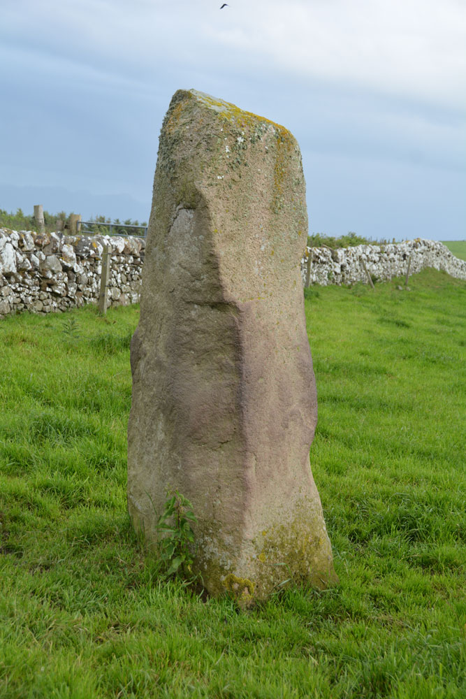 Another view of the stone from its northern side, the shiny parts showing how its been used as a rubbing post over the years.