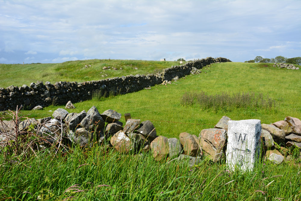 Part of this 240ft diameter cairn appears over the dry stone wall as you walk west from the stone circle, on the northern part of the road. Canmore tells us that most of it has been removed to build walls, but it is still a reasonably substantial mound. It lies some 60m north of the milestone. I was left wondering if the area to the centre right was field clearance, or the eastern side of the 240f