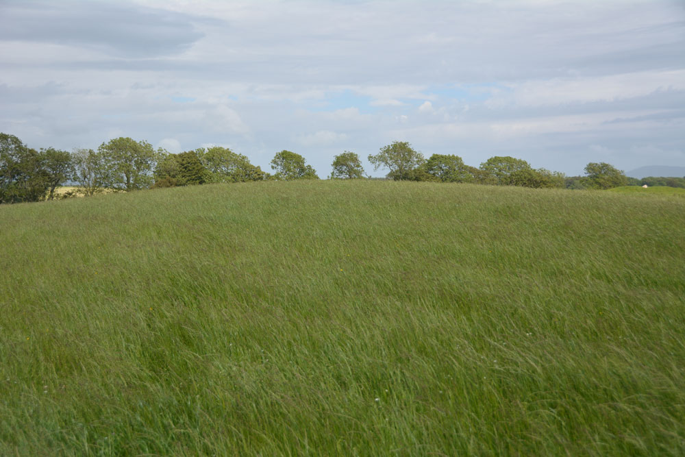 Torhouse North Cairn