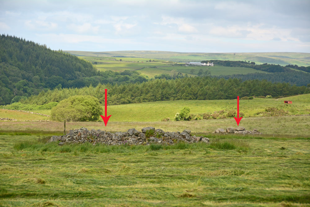 Mid Gleniron Stony Mounds