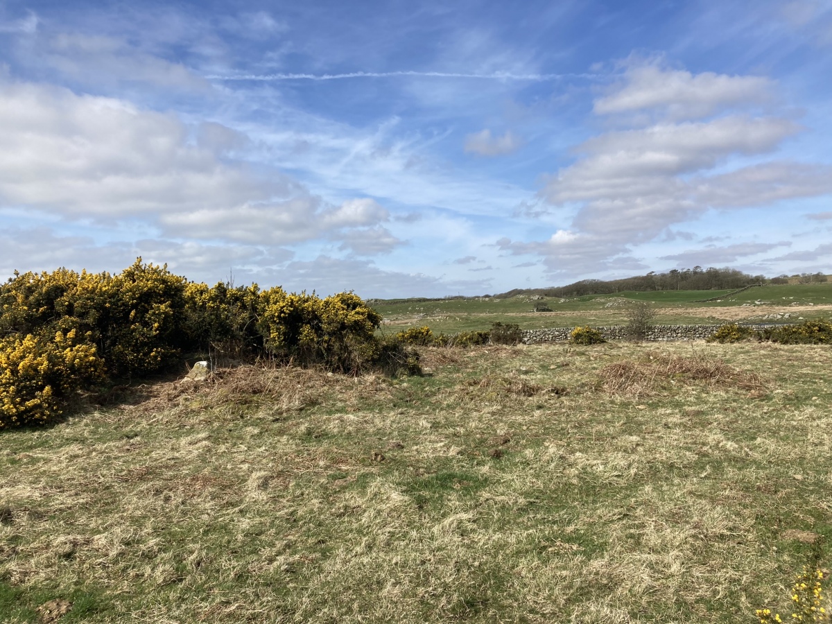 High Moor Hut Circle viewed from SE.