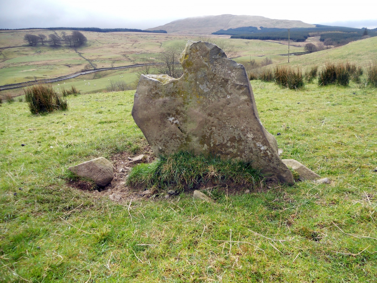 Hole Stone (Blackmark) viewed from N.
