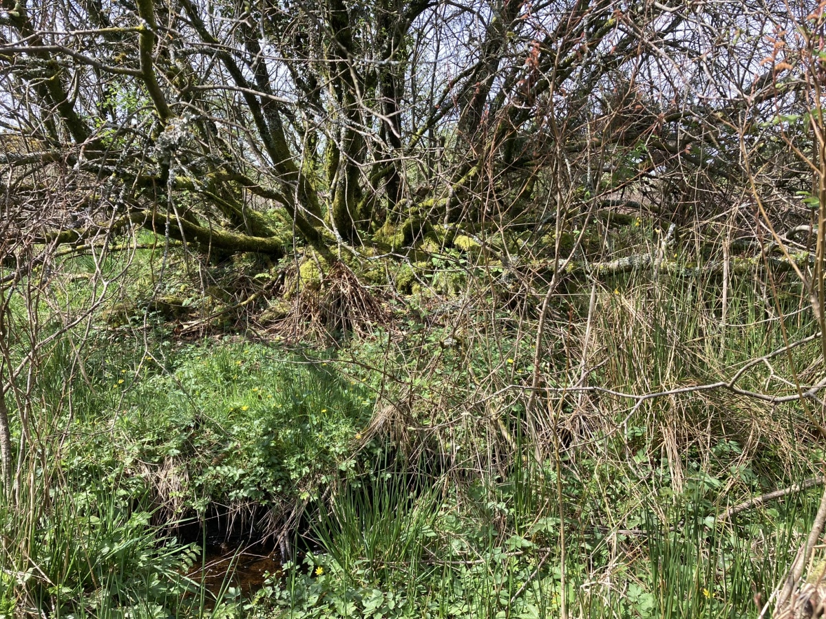 E Arc of Barnsallie Fell Cairn.