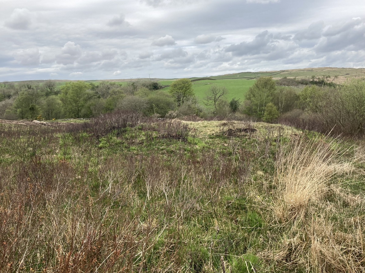 Fauldinchie W Burnt Mound viewed from S.