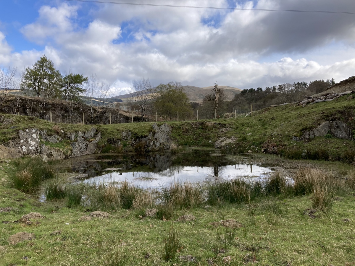 Green Well of Scotland (Carsphairn)