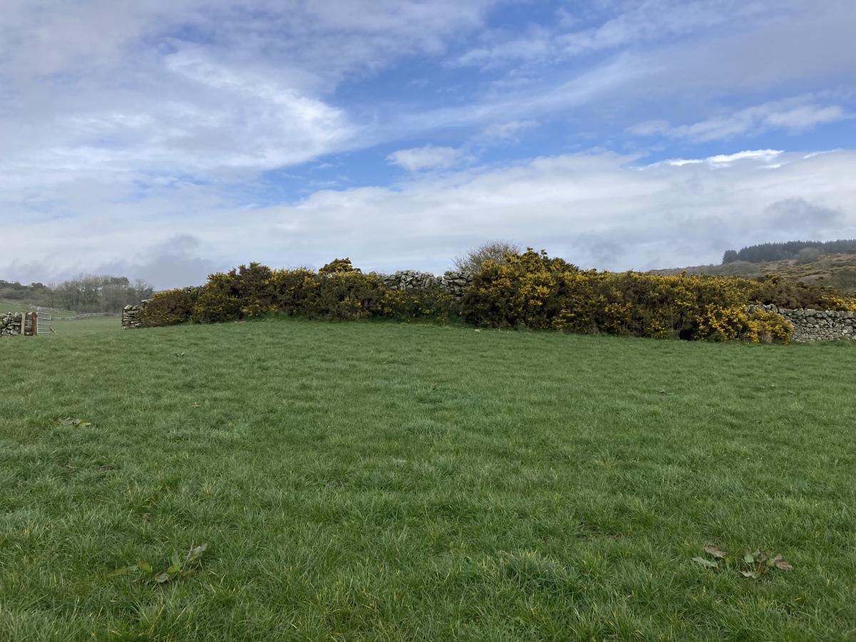 High Gillespie Cairn viewed from the south.