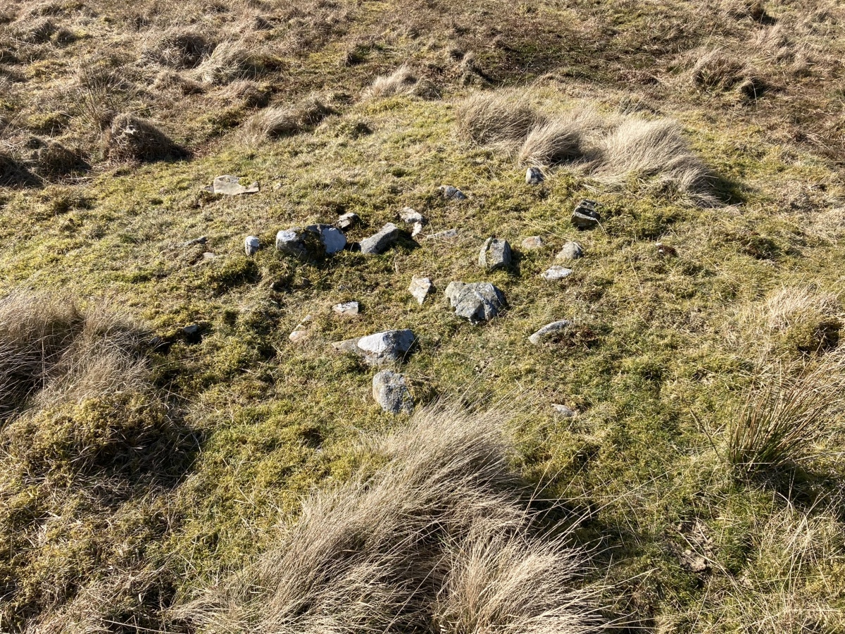 Centre of Benlaight North Cairn viewed from E.