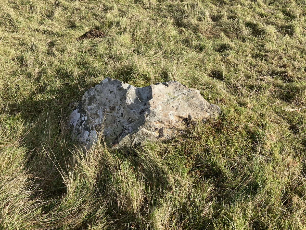 Possible Kerb Stone in S Arc of Craigenlee Fell E Cairn.