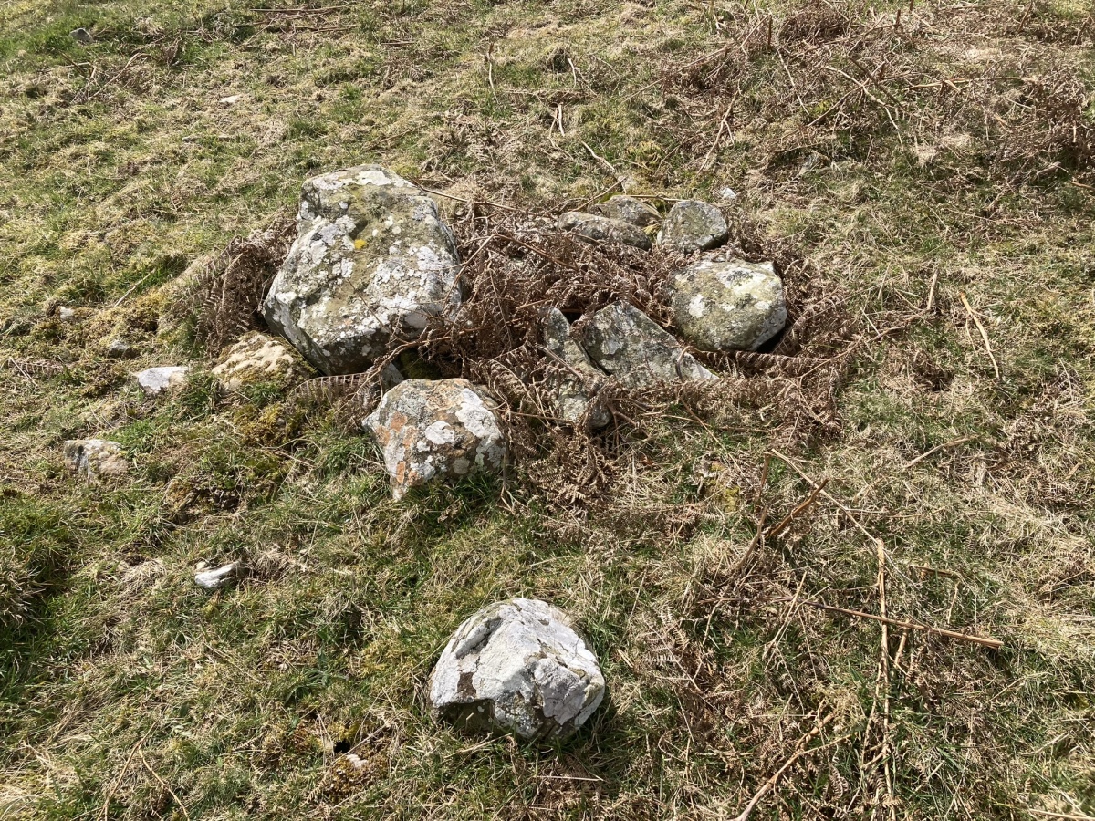 Cluster of Exposed Stones in Centre of Brae Farm Central Cairn.