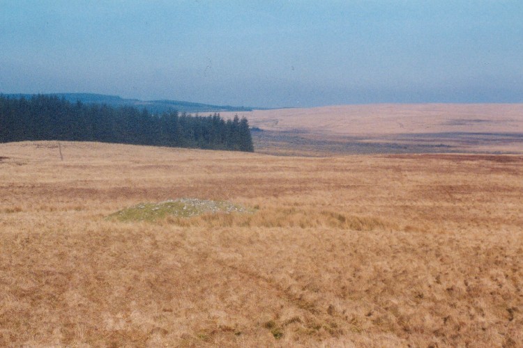 A view looking northeast showing the cairn, which it situated on moorland in the uplands of Wigtownshire at 215 metres above sea level. The cairn itself, like many of this type is built upon a low knoll which accentuates its height. The cairn is round with a diameter of 15 metres.