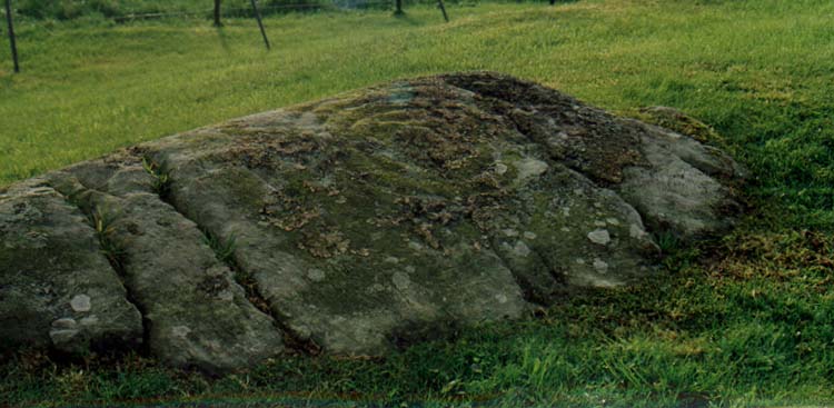 One of the spirals on the second outcrop at Drumtroddan - see main site entry for futher details.