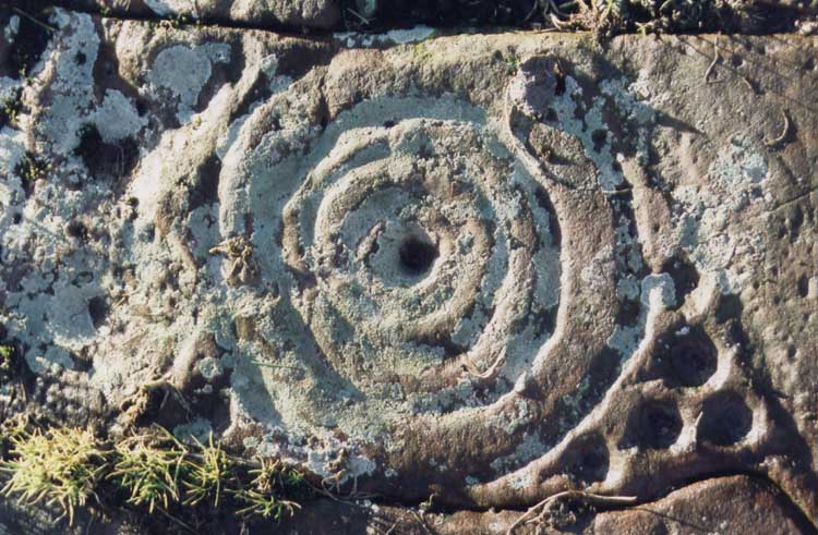 A close up of one of the High Banks Farm designs - a cup surrounded by multiple rings.