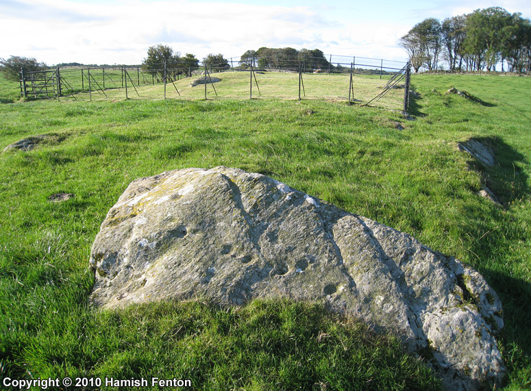 Cup marks on a rock just to the north of the enclosure of 'outcrop 2' at Drumtroddan.

17 September 2010 @ 8.25am