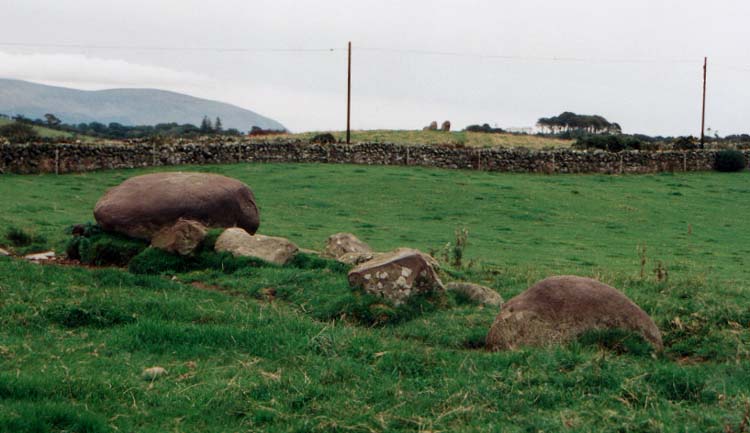 Torhousekie Stones East