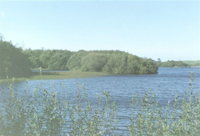 Whitefield Loch Crannog