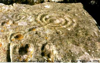 Cup and ring marks on the Drumtroddan stones in Galloway