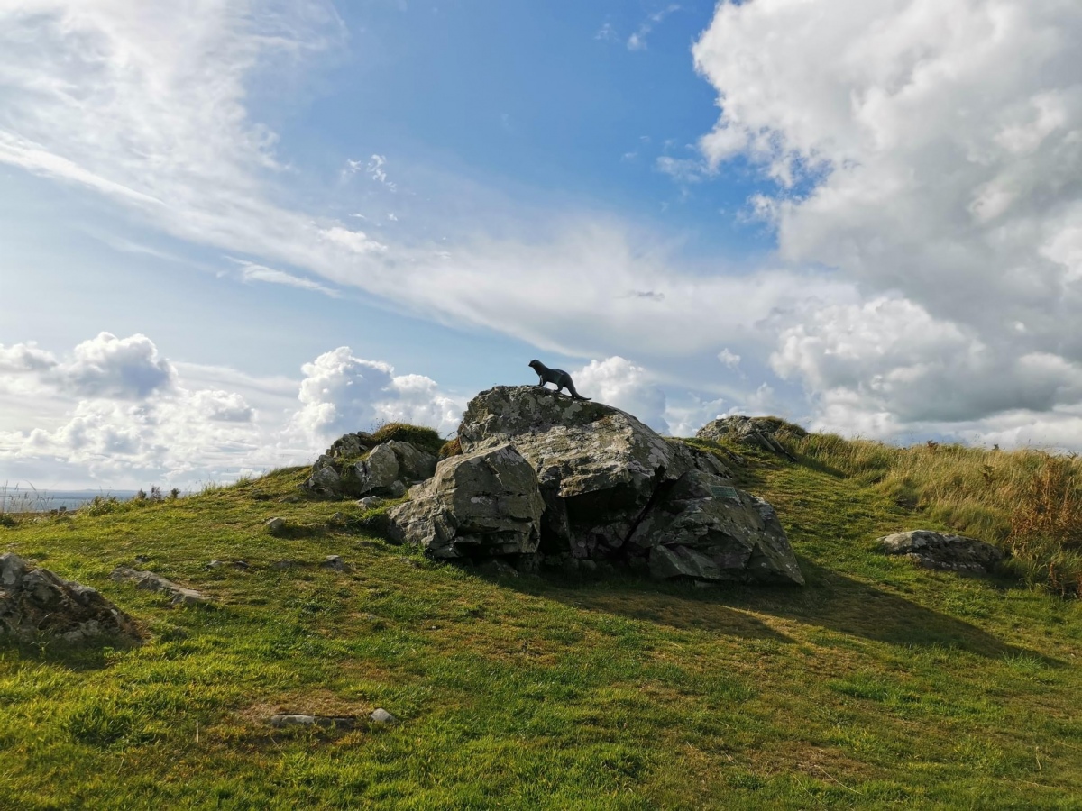 Cup and ring marked rocks of Craigengour. The bronze otter is a memorial to Gavin Maxwell, author of A Ring of Bright Water.
His family are buried at Kirkmaiden Church.
Photo August 2023