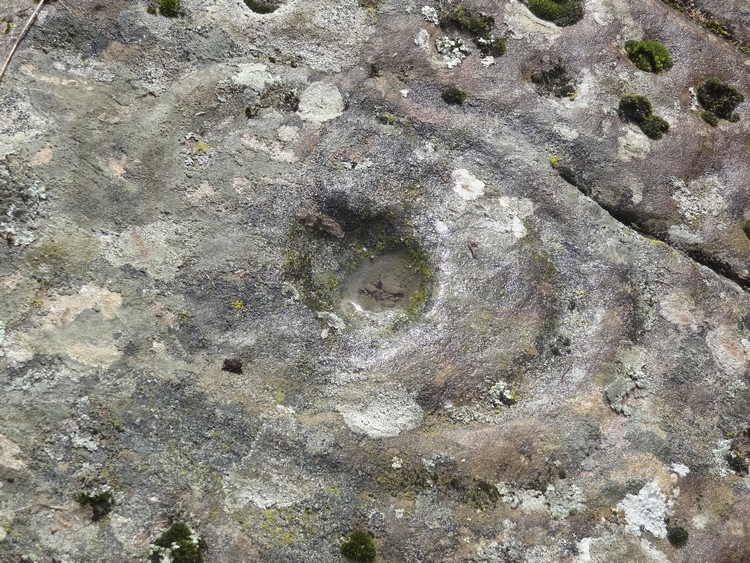 Cup-and-ring mark located SW of the 