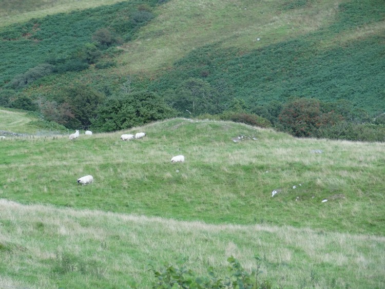 Kirkdale Burn