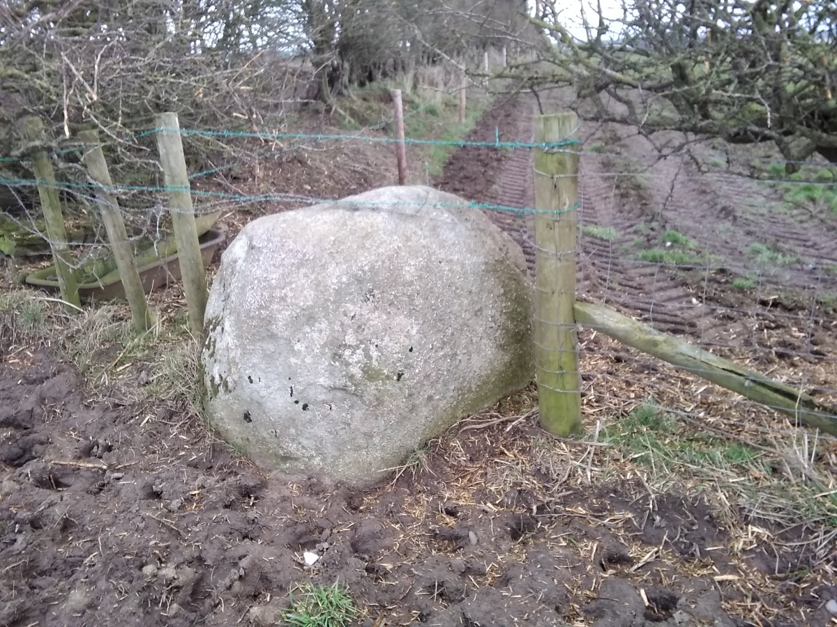 Smaller companion of the Lochmaben Stone, lilkey remains of a stone circle (photo taken on February 2023).