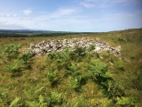 Drumfern Cairn - PID:229222