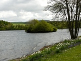 Black Loch Crannog - PID:110389