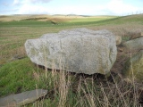 West Cairngaan stone - PID:225009