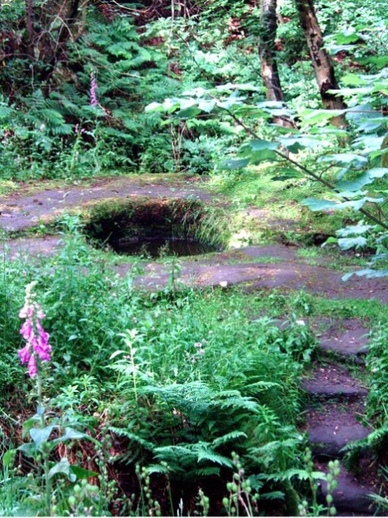 Druid's Well (Dunino)