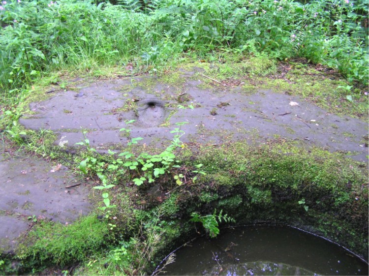 Beside the well is the impression of a footprint.  This is a place of ancient worship and the footprint may link it with ceremonies of inauguration of kings as at Dunadd, Kilmartin in Argyll.

