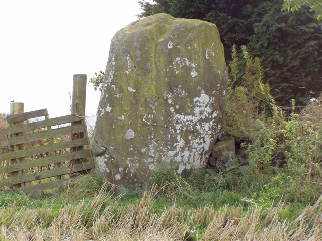 Bandrum [Bandrum Hill] Standing Stones : The Megalithic Portal and ...