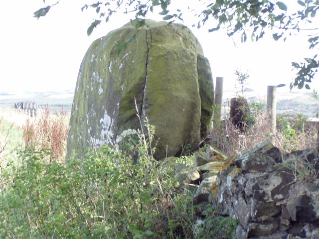 Bandrum [Bandrum Hill] Standing Stones : The Megalithic Portal and ...