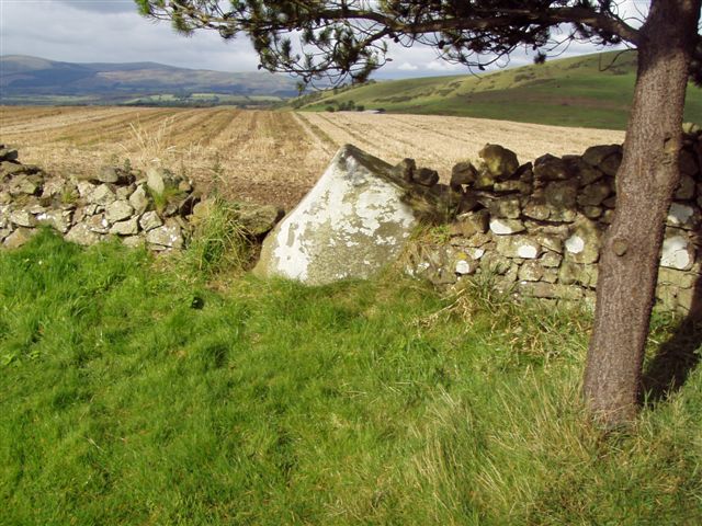 Bandrum [Bandrum Hill] Standing Stones : The Megalithic Portal and ...